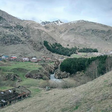 Vardisubani Villa Kazbegi Dış mekan fotoğraf