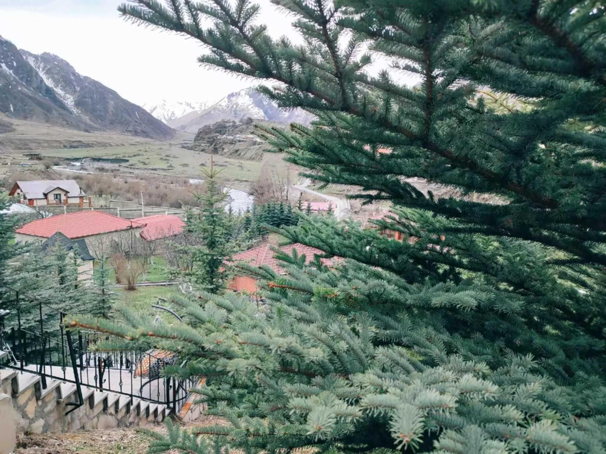 Vardisubani Villa Kazbegi Dış mekan fotoğraf