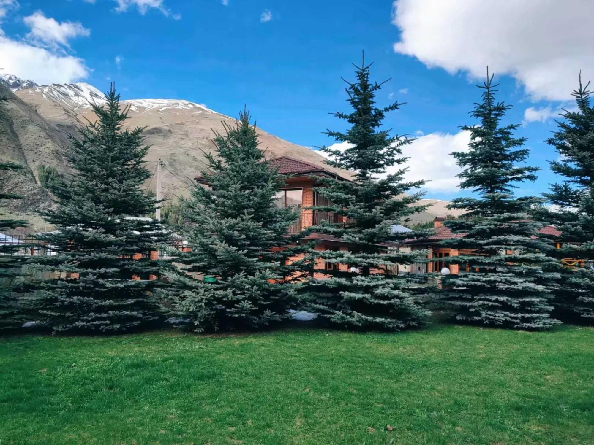 Vardisubani Villa Kazbegi Dış mekan fotoğraf